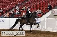 11buck_2350 proof