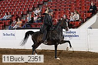 11buck_2351 proof