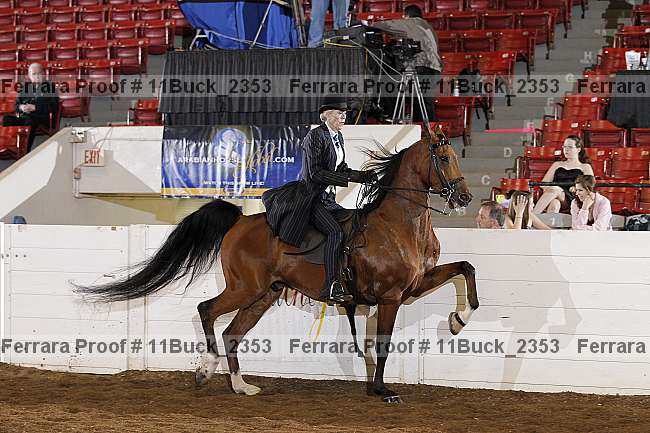 Proof 11buck_2353