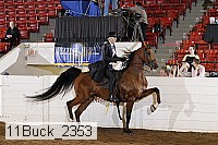 11buck_2353 proof