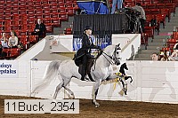 11buck_2354 proof