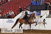 11buck_2355 proof