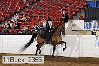 11buck_2356 proof