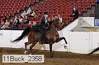 11buck_2358 proof