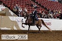 11buck_2365 proof