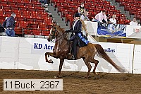 11buck_2367 proof