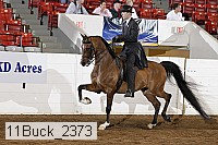11buck_2373 proof