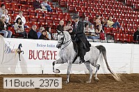 11buck_2376 proof