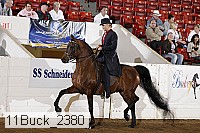 11buck_2380 proof