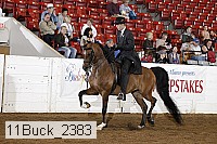 11buck_2383 proof