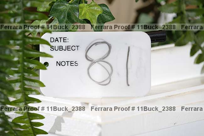 Proof 11buck_2388