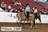 11buck_2389 proof