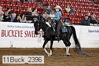 11buck_2396 proof
