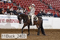 11buck_2403 proof