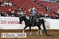 11buck_2409 proof