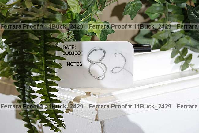 Proof 11buck_2429