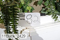 11buck_2429 proof