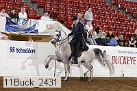 11buck_2431 proof