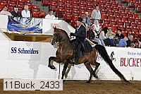 11buck_2433 proof