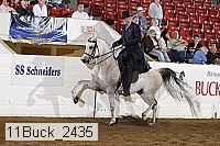 11buck_2435 proof