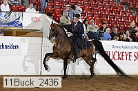 11buck_2436 proof