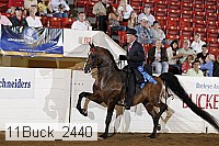 11buck_2440 proof