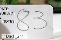 11buck_2441 proof