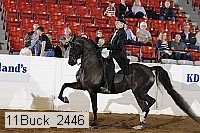11buck_2446 proof