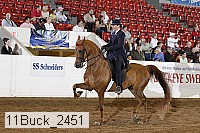 11buck_2451 proof