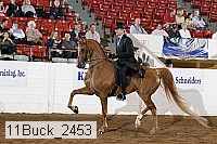11buck_2453 proof