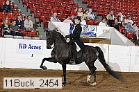 11buck_2454 proof