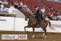 11buck_2459 proof