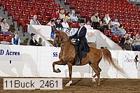 11buck_2461 proof