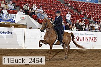 11buck_2464 proof
