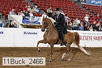 11buck_2466 proof