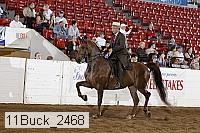 11buck_2468 proof