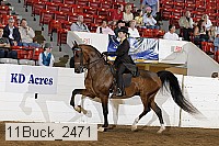 11buck_2471 proof