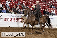11buck_2478 proof
