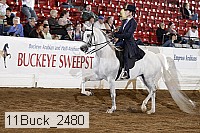11buck_2480 proof
