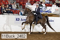 11buck_2482 proof