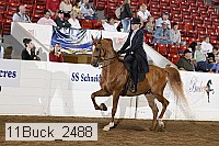 11buck_2488 proof