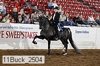 11buck_2504 proof