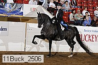 11buck_2506 proof