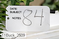 11buck_2509 proof