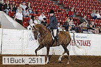 11buck_2511 proof