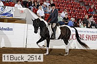 11buck_2514 proof