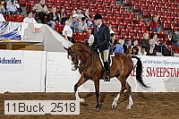 11buck_2518 proof