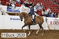 11buck_2520 proof