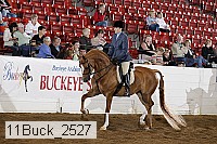 11buck_2527 proof