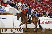11buck_2530 proof